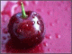 Prostownica do w�os�w